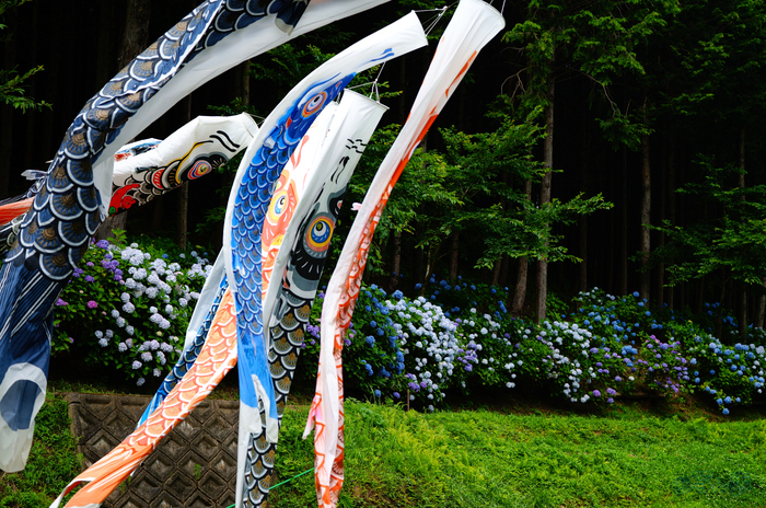 シグマ Sigma 17-40mm F1.8 DC | Art with Sigma fp L ／ 京都